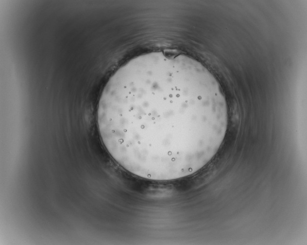 X0000113920559200910221356