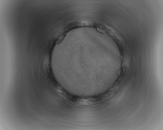X0000113920560200910221356