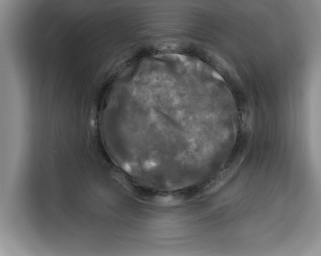 X0000113920561200910221356
