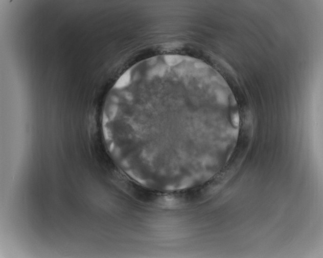 X0000113920565200910221356