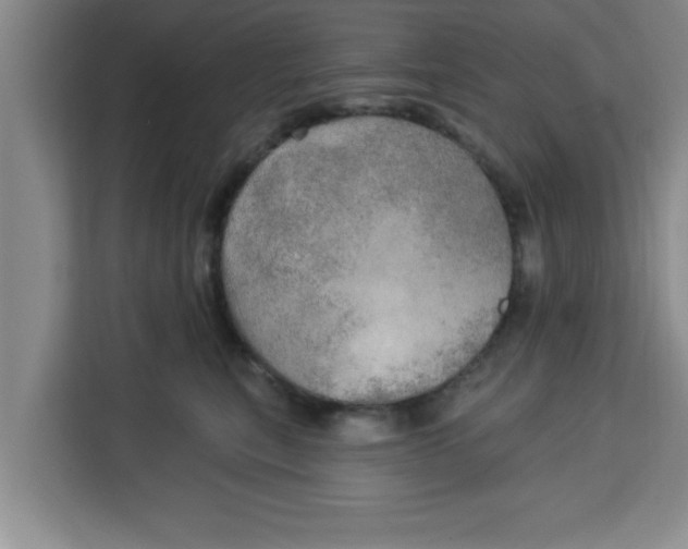 X0000113920567200910221356