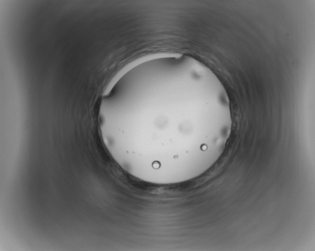 X0000113920568200910221356