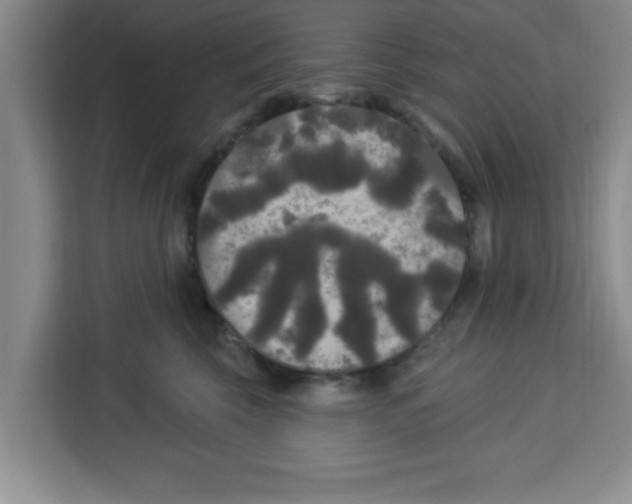 X0000113920569200910221356