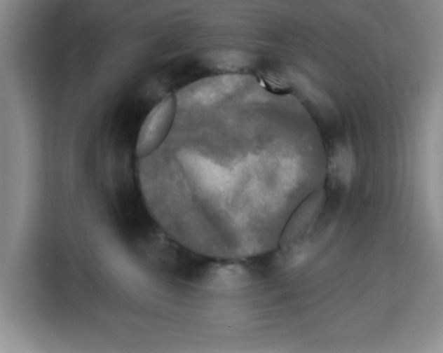 X0000113920572200910221356