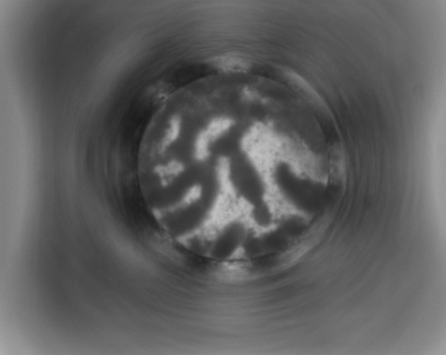 X0000113920573200910221356