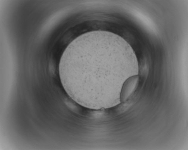 X0000113920574200910221356