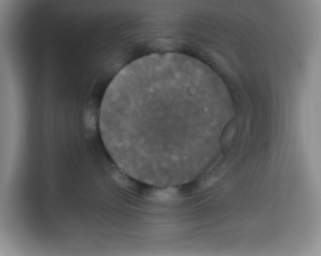 X0000113920576200910221356