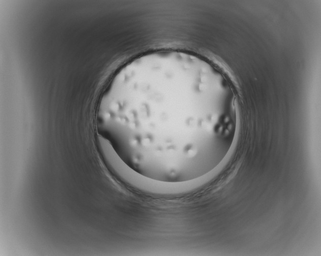 X0000113920577200910221355