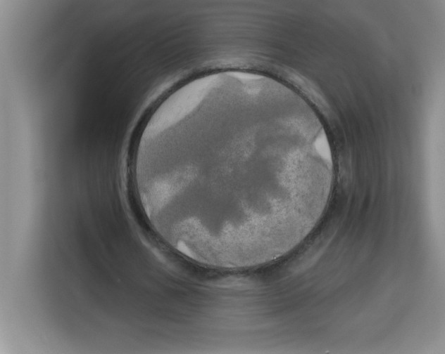 X0000113920578200910221355