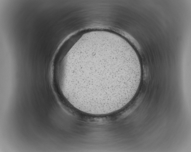 X0000113920580200910221355
