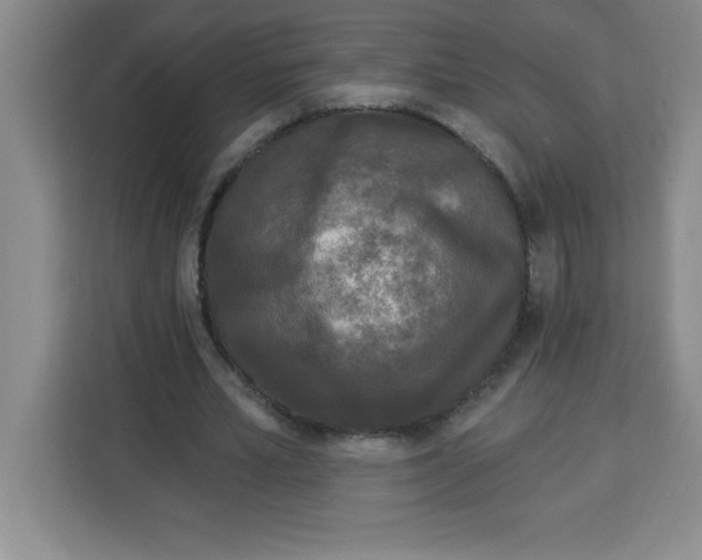 X0000113920581200910221355