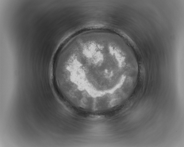 X0000113920582200910221355