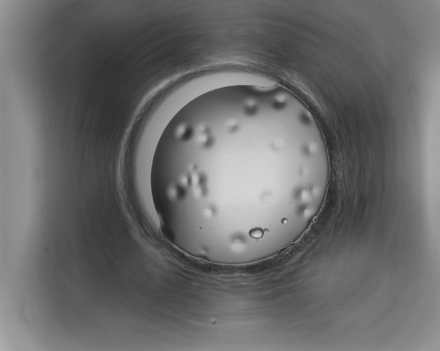 X0000113920583200910221355