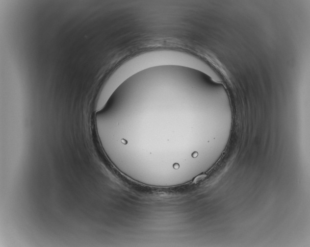 X0000113920585200910221355