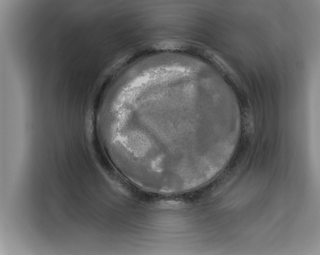 X0000113920586200910221355