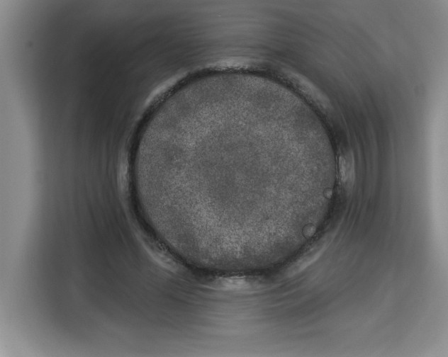 X0000113920588200910221355