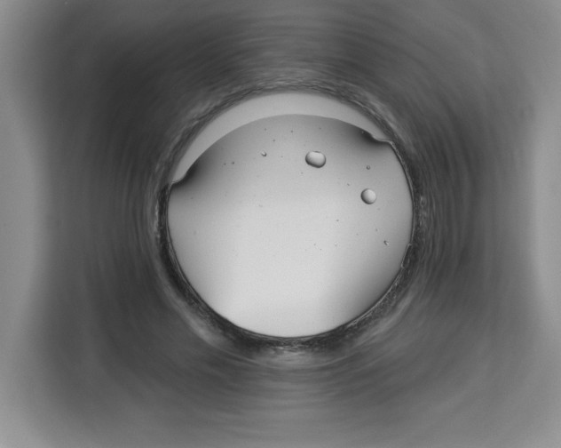 X0000113920589200910221355