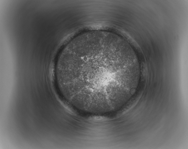 X0000113920590200910221355