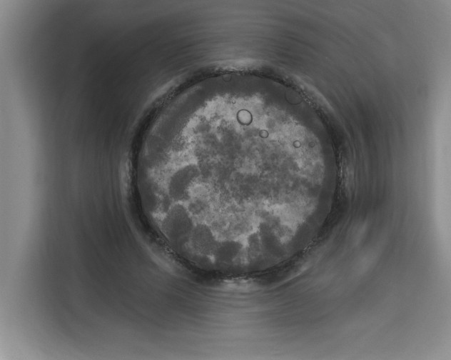 X0000113920591200910221355