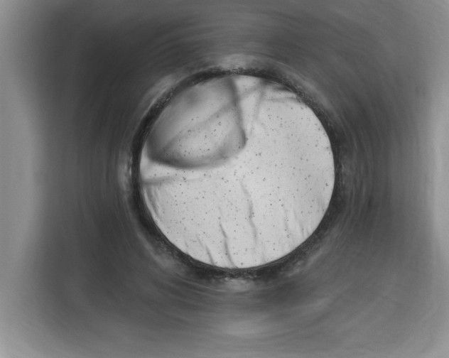 X0000113920592200910221355