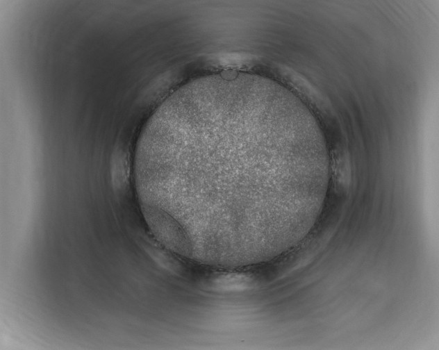 X0000113920593200910221355