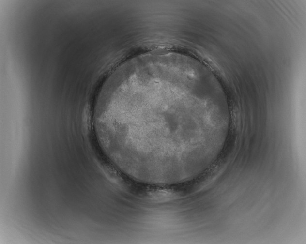 X0000113920594200910221355