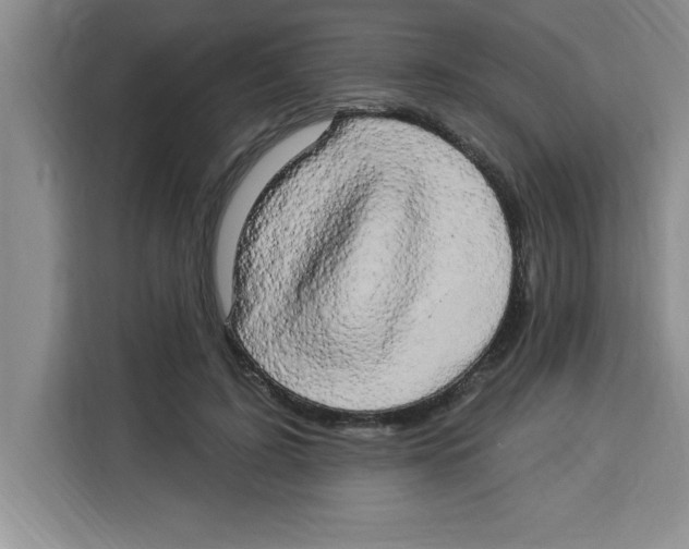 X0000113920595200910221355