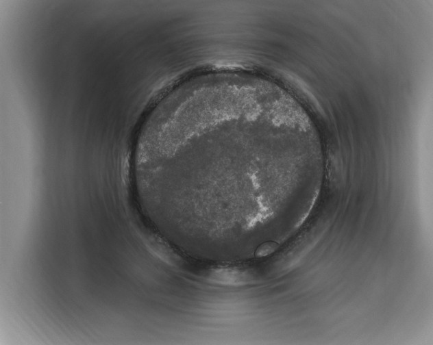 X0000113920596200910221355