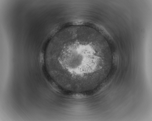 X0000113920598200910221355