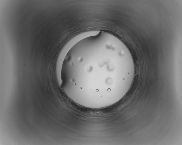X0000113920599200910221355
