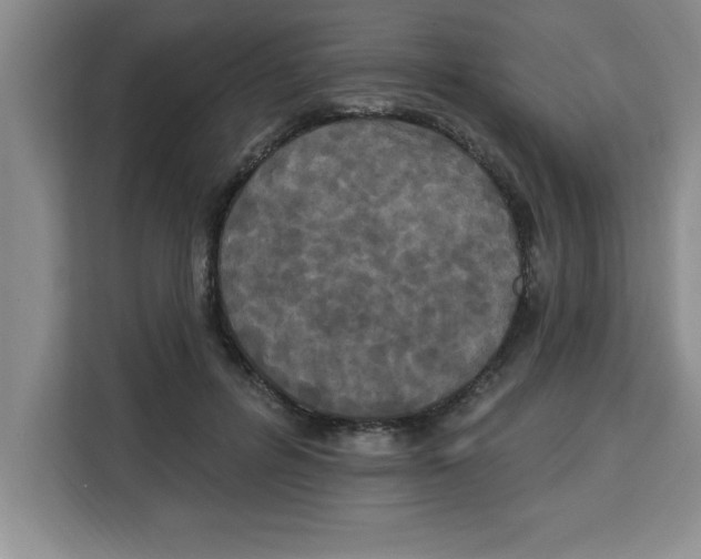 X0000113920600200910221355
