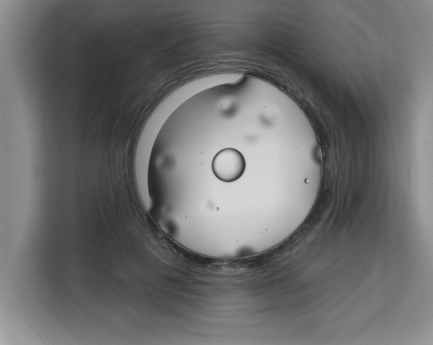 X0000113920601200910221355