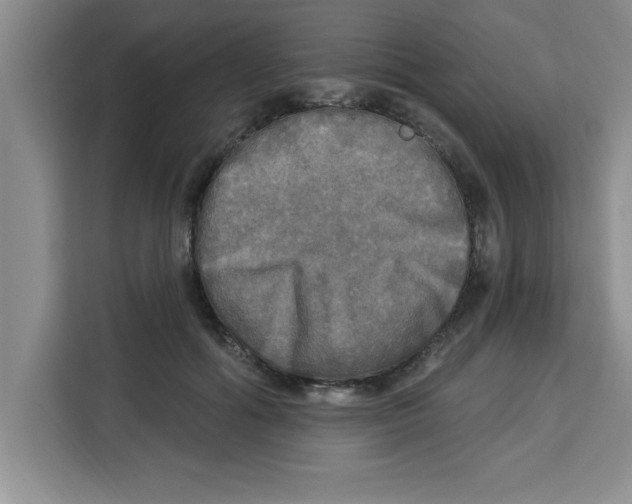 X0000113920602200910221355