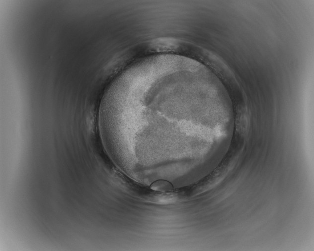 X0000113920604200910221355