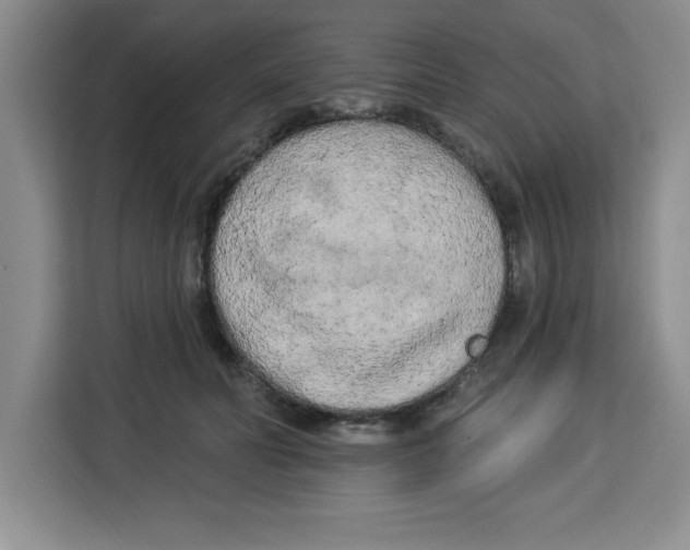 X0000113920606200910221355