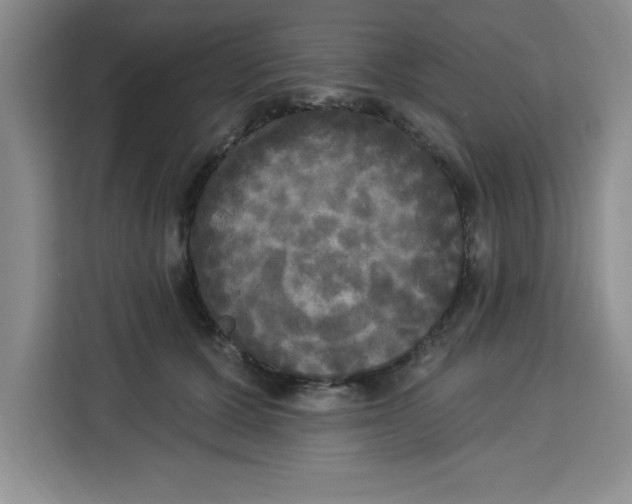 X0000113920607200910221355