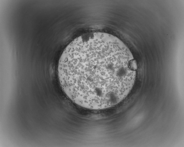 X0000113920608200910221355