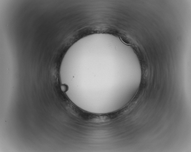 X0000113920609200910221355