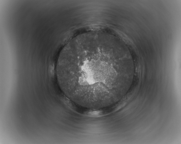 X0000113920610200910221355