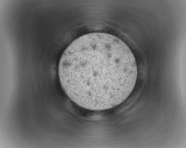 X0000113920612200910221355