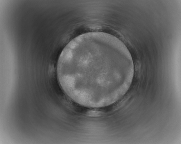 X0000113920614200910221355