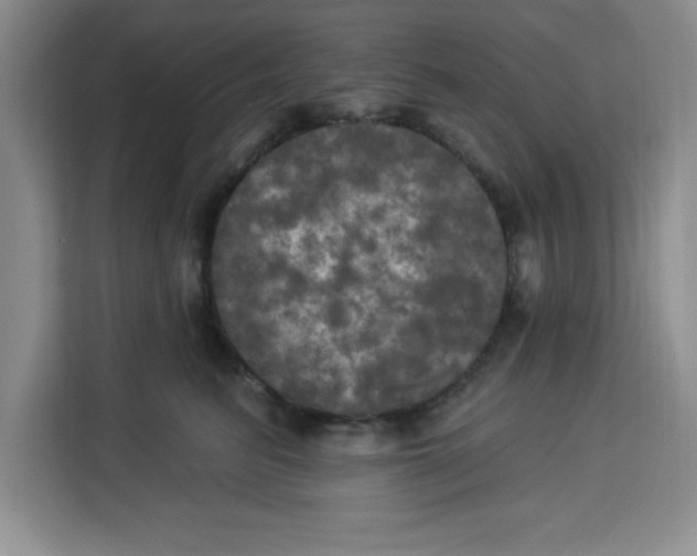 X0000113920615200910221355