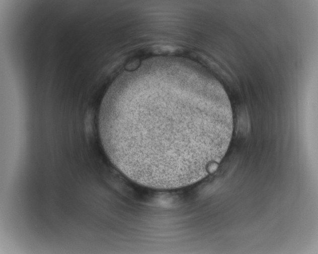 X0000113920616200910221355