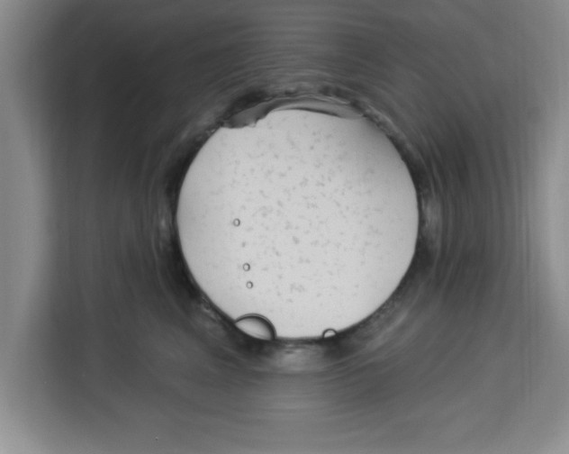 X0000113920617200910221355