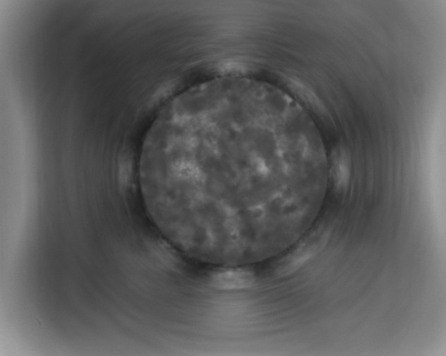 X0000113920619200910221355