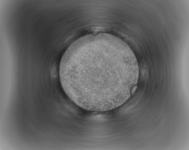 X0000113920620200910221355