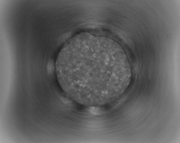 X0000113920623200910221355