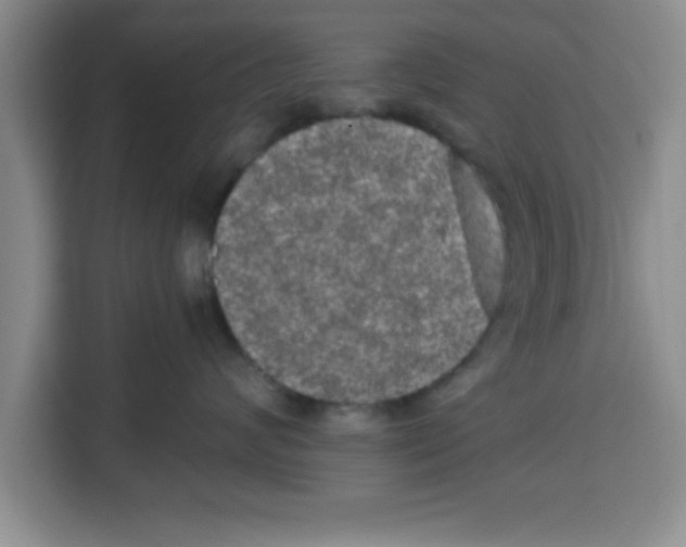 X0000113920624200910221355