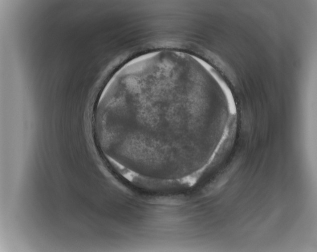 X0000113920625200910221354