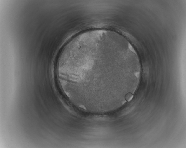 X0000113920626200910221354